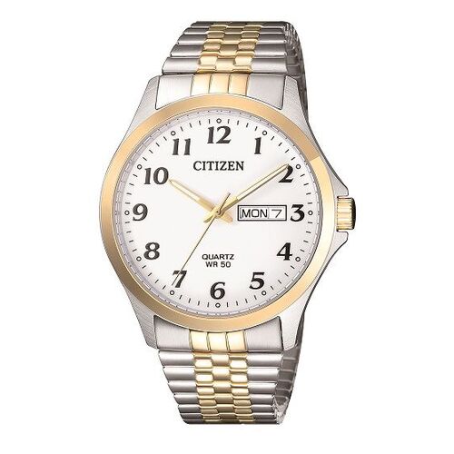 Stainless Steel Two Toned Men's Watch 